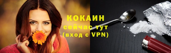 крисы Белокуриха