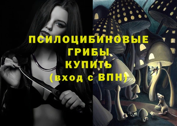 стафф Балабаново