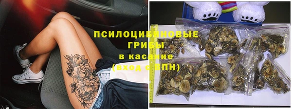 стафф Балабаново